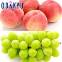 もも ブドウ 送料無料 山梨県産 もも & シャインマスカット 約1.5kg |7-12日程度でのお届け※沖縄・離島へは届不可(直)