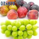 スモモ ブドウ 送料無料 山梨県産 すもも & シャインマスカット 約0.8kg |7月中旬以降のお届け※沖縄・離島へは届不可(直)