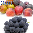 スモモ ブドウ 送料無料 山梨県産 すもも & 種なしピオーネ 約0.8kg |7月中旬以降のお届け※沖縄・離島へは届不可(直)
