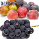 スモモ ブドウ 送料無料 山梨県産 すもも & 種なし巨峰 約0.8kg |7月中旬以降のお届け※沖縄・離島へは届不可(直)