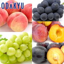 もも ブドウ プラム 送料無料 山梨県産 甲州三昧 約2.4kg |7月中旬以降のお届け※沖縄・離島へは届不可(直)(4)