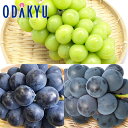 ブドウ 送料無料 3種ぶどう 食べ比べセット 秀 約1kg |7-12日程度でのお届け※沖縄・離島へは届不可(直)