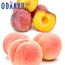 スモモ 送料無料 山梨県産 すもももももも 貴陽 & もも 青秀 約1.1kg |7月中旬以降のお届け※沖縄・離島へは届不可(直)