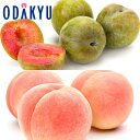スモモ 送料無料 山梨県産 すもももももも ソルダム & もも 青秀 約1.1kg |7-12日程度でのお届け※沖縄・離島へは届不可(直)