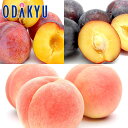 スモモ 送料無料 山梨県産 すもももももも 貴陽・太陽 & もも 青秀 約1.4kg |7月中旬以降のお届け※沖縄・離島へは届不可(直)