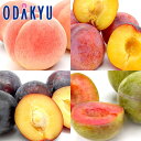 スモモ 送料無料 山梨県産 すもももももも すもも・もも三昧 青秀 約1.7kg |7月中旬以降のお届け※沖縄・離島へは届不可(直)