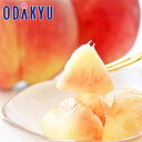 桃 もも 送料無料 山梨県産 大糖領 & 春日居 白鳳 10玉入 約2.6kg |7-12日程度でのお届け※沖縄・離島へは届不可(直)