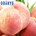 もも 送料無料 山梨県産 信玄 & 春日居 大玉浅間白桃 6玉入 約1.9kg |7月中旬以降のお届け※沖縄・離島へは届不可(直)