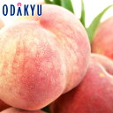 もも 送料無料 山梨県産 信玄 & 春日居 浅間白桃 6玉入 約1.5kg |7月中旬以降のお届け※沖縄・離島へは届不可(直)