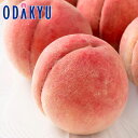 もも 送料無料 山梨県産 信玄 & 春日居 大玉川中島白桃 6玉入 約1.9kg |7月下旬以降のお届け※沖縄・離島へは届不可(直)