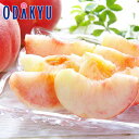 もも 送料無料 川中島白桃 & あかつき 10玉入 約2.4kg |7月下旬以降のお届け※沖縄・離島へは届不可(直)