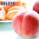 もも 送料無料 福島県産 ミス・ピーチ & サンピーチ あかつき 6玉入 約1.5kg |7月下旬以降のお届け※沖縄・離島へは届不可(直)