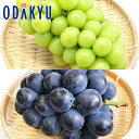 ブドウ 送料無料 山梨県産 お買得♪ 一宮 シャインマスカットとピオーネの彩りセット 秀 約0.7kg |7-12日程度でのお届け※沖縄・離島へは届不可(直)