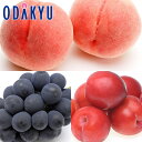 送料無料 山梨県産 お買得♪ 山梨の夏便りフルーツセット 約1.2kg |7-12日程度でのお届け※沖縄・離島へは届不可(直)