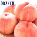 桃 もも 送料無料 山梨県産 お買得♪ 山梨の桃 もも 白鳳系 6玉入 青秀 約1.5kg |7-12日程度でのお届け※沖縄・離島へは届不可(直)