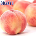 もも 送料無料 山梨県産 お買得♪ 山梨のもも 白桃系 6玉入 青秀 約1.5kg |7月中旬以降のお届け※沖縄・離島へは届不可(直)