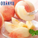 もも 送料無料 山梨県産 お買得♪ 山梨の高 糖度もも 白桃系 6玉 糖度12度以上 特秀 約1.5kg |7月中旬以降のお届け※沖縄・離島へは届不可(直)