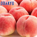 桃 もも 送料無料 山梨県産 お買得♪ 山梨の小玉もも 約2.4kg 11〜12玉 青秀 |7-12日程度でのお届け※沖縄・離島へは届不可(直)