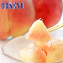 もも 送料無料 山梨県産 大糖領 大玉白鳳 6玉 約1.9kg |7-12日程度でのお届け※沖縄・離島へは届不可(直)