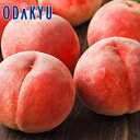もも 送料無料 山梨県産 信玄 大玉夢みずき 6玉 約1.9kg |7月中旬以降のお届け※沖縄・離島へは届不可(直)