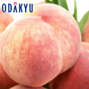 もも 送料無料 山梨県産 信玄 大玉浅間白桃 6玉 約1.9kg |7月中旬以降のお届け※沖縄・離島へは届不可(直)