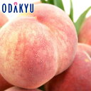 もも 送料無料 山梨県産 信玄 浅間白桃 6玉 約1.6kg |7月中旬以降のお届け※沖縄・離島へは届不可(直)