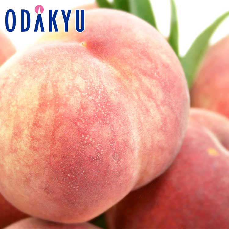 もも 送料無料 山梨県産 信玄 浅間白桃 9玉 約2.4kg |7月中旬以降のお届け※沖縄・離島へは届不可(直)
