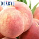 もも 送料無料 山梨県産 春日居 浅間白桃 9玉 約2.4kg |7月中旬以降のお届け※沖縄・離島へは届不可(直)
