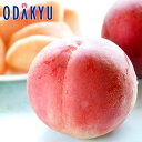 桃 もも 送料無料 福島県産 ミス・ピーチ 大玉あかつき 6玉 約1.9kg |7月下旬以降のお届け※沖縄・離島へは届不可(直)