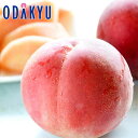 もも 送料無料 福島県産 サンピーチ 大玉あかつき 6玉 1.9kg 約1.9kg |7月下旬以降のお届け※沖縄・離島へは届不可(直)
