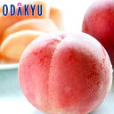 桃 もも 送料無料 福島県産 共選お任せ青秀以上 あかつき 6玉 約1.6kg |7月下旬以降のお届け※沖縄・離島へは届不可(直)