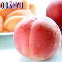 もも 送料無料 福島県産 ミス・ピーチ あかつき 9玉 約2.4kg |7月下旬以降のお届け※沖縄・離島へは届不可(直)