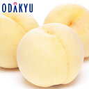 もも 送料無料 岡山県産 品種おまかせ おかやま白桃 6玉 約1.6kg |7月下旬以降のお届け※沖縄・離島へは届不可(直)