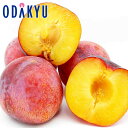 スモモ 送料無料 山梨県産 貴陽プラム 秀 約0.8kg |7月中旬以降のお届け※沖縄・離島へは届不可(直)