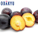 スモモ 送料無料 山梨県産 太陽プラム 秀 約0.8kg |7月下旬以降のお届け※沖縄・離島へは届不可(直)