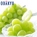 ブドウ 送料無料 山梨県産 匠の葡萄 笛吹シャインマスカット1房 特秀 約0.9kg |7-12日程度でのお届け※沖縄・離島へは届不可(直)