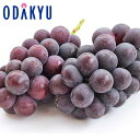 ブドウ 送料無料 山梨県産 匠の葡萄 笛吹種なし巨峰2房 特秀 約0.9kg |7-12日程度でのお届け※沖縄・離島へは届不可(直)