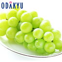ブドウ 送料無料 山梨県産 御坂限定 特大シャインマスカット1房 秀 約0.6kg |7-12日程度でのお届け※沖縄・離島へは届不可(直)
