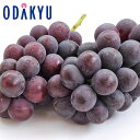 ブドウ 送料無料 山梨県産 御坂限定 種なし巨峰2房 各410g以上 秀 約0.8kg |7-12日程度でのお届け※沖縄・離島へは届不可(直)