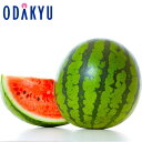 スイカ 送料無料 山形県産 すいか 2Lサイズ 秀 約3.5kg |7-12日程度でのお届け※沖縄・離島へは届不可(直)