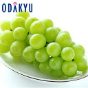 ブドウ 送料無料 長野県産 シャインマスカット 1房入り 秀 約0.5kg |7-12日程度でのお届け※沖縄・離島へは届不可(直)