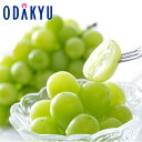 ブドウ 送料無料 長野県産 シャインマスカット 2房入り 秀 約1kg |7-12日程度でのお届け※沖縄・離島へは届不可(直)