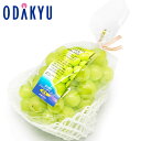 ブドウ 送料無料 岡山県産 シャインマスカット晴王 1房入り 秀 約0.7kg |7-12日程度でのお届け※沖縄・離島へは届不可(直)