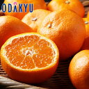ミカン 送料無料 愛知県産 蒲郡温室みかん Mサイズ 秀 約1.2kg |7-12日程度でのお届け※沖縄・離島へは届不可(直)