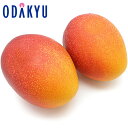 送料無料 宮崎県産 完熟マンゴー 2玉セット 2L 秀 約0.9kg |7-12日程度でのお届け※沖縄・離島へは届不可(直)