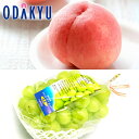 桃 ぶどう 糖度13度以上 天果一品 特秀より1ランクUP & 晴王 約2.2kg |7月下旬以降順次お届け※沖縄・離島へは届不可(直)