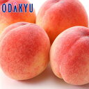 送料無料 桃 お買得♪ 福島県産 ふくしまのあかつき 約4.8kg |8月1日(金)以降順次お届け※沖縄・離島へは届不可(直)
