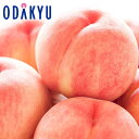 送料無料 桃 お買得♪ 福島県産 ふくしまのまどか 約4.8kg |8月1日(金)以降順次お届け※沖縄・離島へは届不可(直)