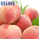 送料無料 桃 お買得♪ 福島県産 ふくしまの川中島白桃 約4.8kg |8月中旬以降順次お届け※沖縄・離島へは届不可(直)