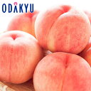 送料無料 桃 お買得♪ 糖度12度以上 福島県産 ふくしまの高糖度まどか 5玉 約1.3kg |8月中旬以降順次お届け※沖縄・離島へは届不可(直)